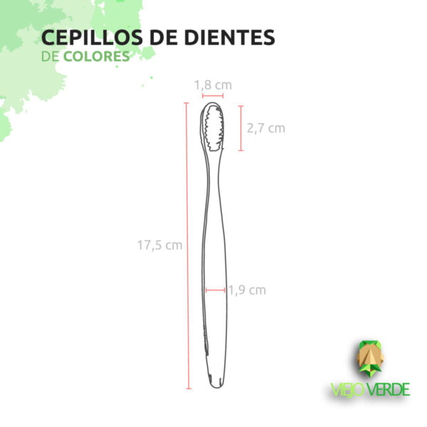 dimensiones cepillos de dientes de bambú