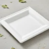 Plato cuadrado bagazo 26 cm contexto B